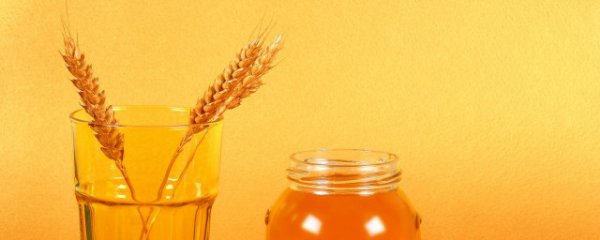 蜜蜂保存方法和注意事项