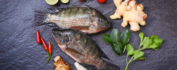 怎样炖鲤鱼好吃又简单方法