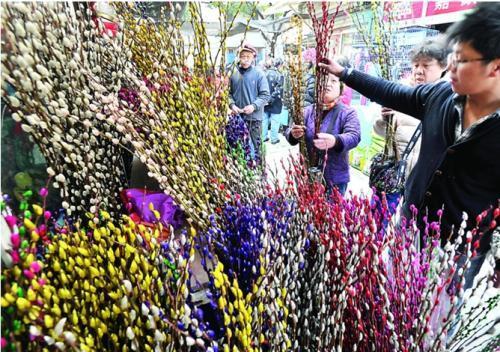 银柳是真花还是假花