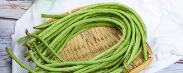 长豆角保存新鲜的小技巧