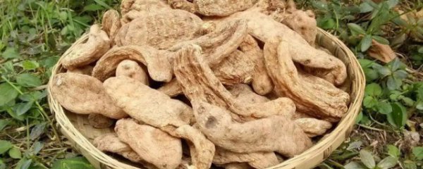 哪些人不宜吃天麻