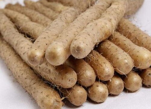 铁棍山药和山药哪个好吃