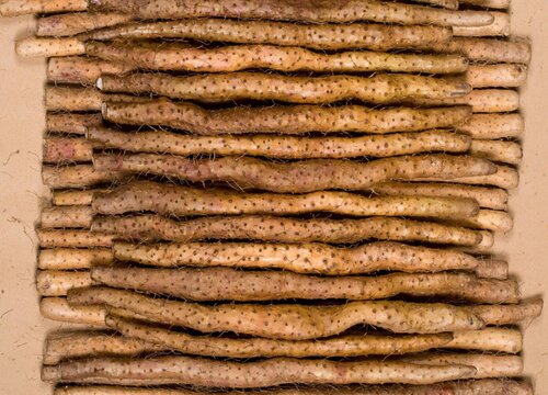 铁棍山药和山药哪个好吃