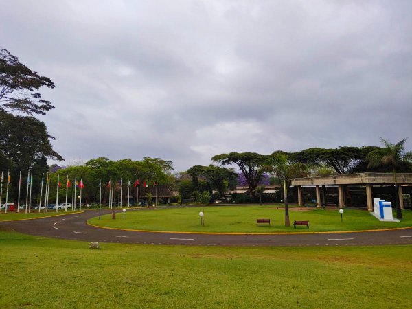 肯尼亚说什么语言为主