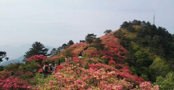 湖北有什么山峰适合游玩