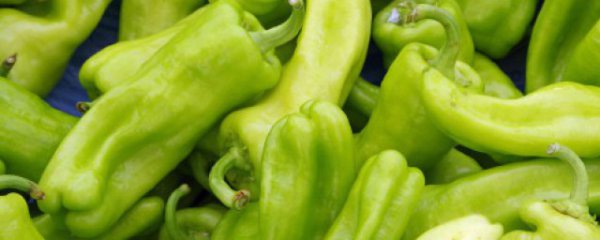 灯笼椒怎么泡好吃