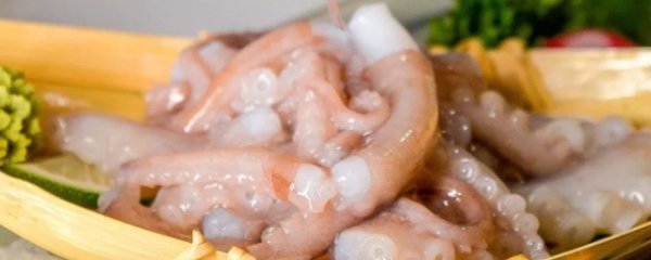 活章鱼能生吃吗