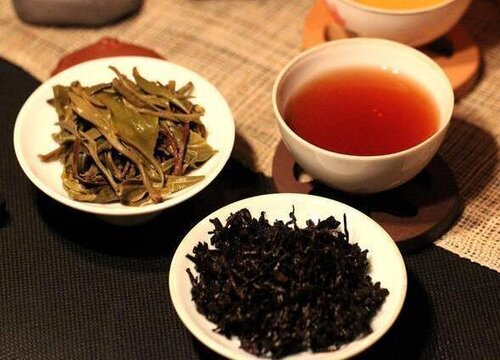 高山肉桂属于什么茶