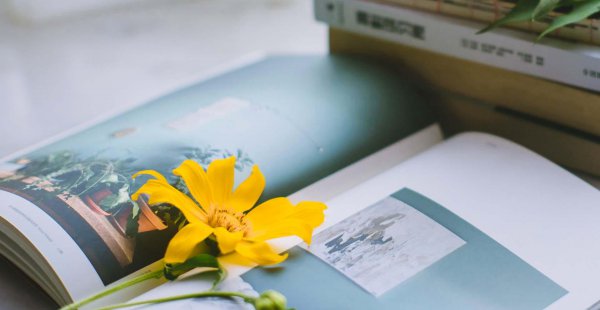 天蝎女喜欢被这样撩