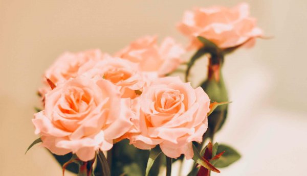 天蝎女喜欢被这样撩