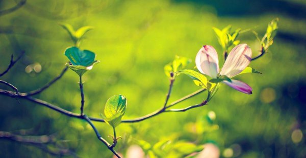 天蝎女喜欢被这样撩