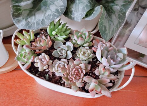 花盆托架在养花中的妙用