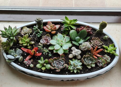 花盆托架在养花中的妙用