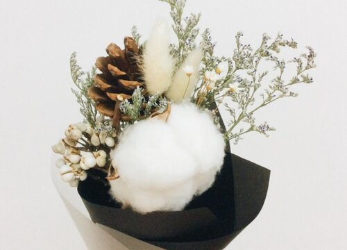 棉花的花语是什么