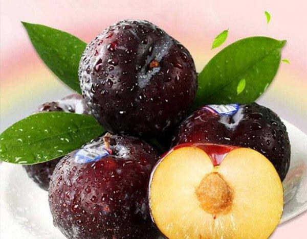 桃树可以嫁接黑布林吗