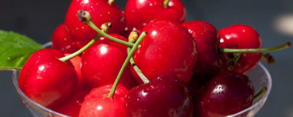 减肥可以吃车厘子吗