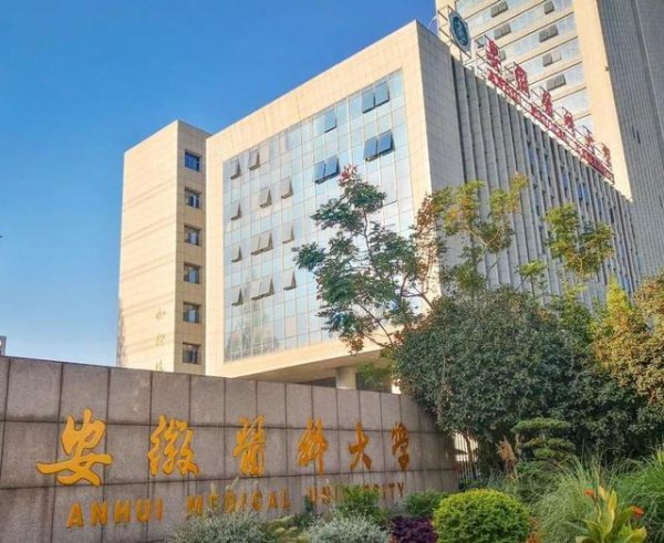 安徽医科大学排名