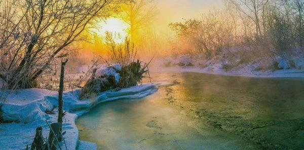 怎么样才能从心里放下一个人