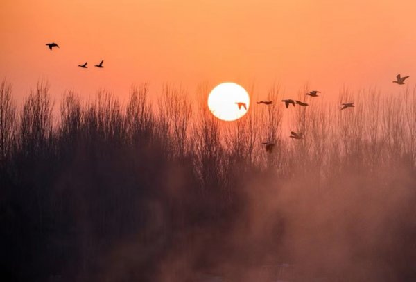 怎么样才能从心里放下一个人