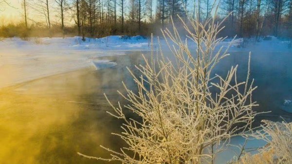 怎么样才能从心里放下一个人