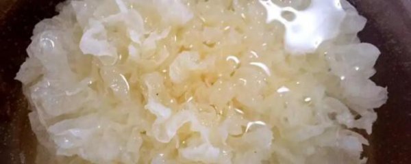 白木耳泡了一夜能吃吗