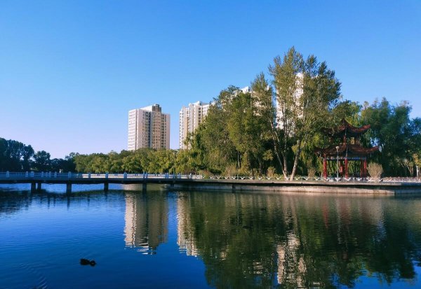 新疆大学是211吗