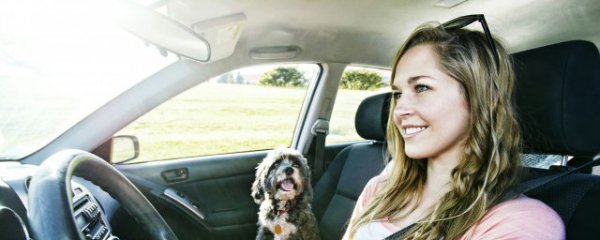 冬天汽车启动怎么除霜