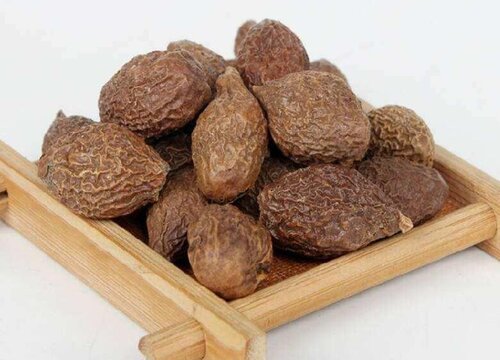 胖大海是植物吗