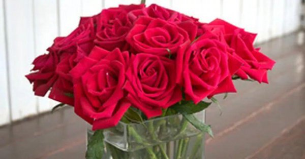 花店买的玫瑰一般能放几天