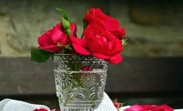 花店买的玫瑰一般能放几天