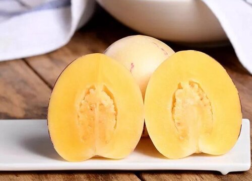 草参和人参区别图片