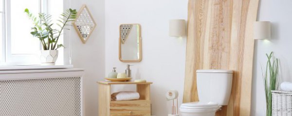 卫生间放什么物件避邪