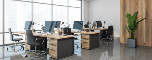 老板办公室摆什么花好