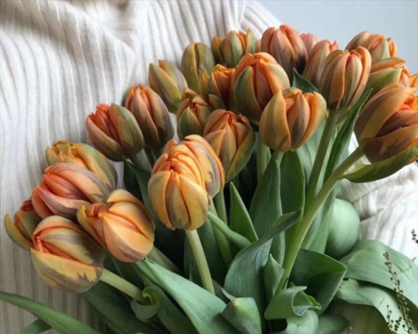 送妈妈生日鲜花