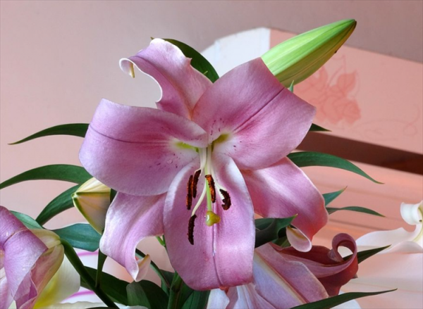 送妈妈生日鲜花