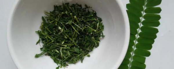 广西相思茶有什功效与作用