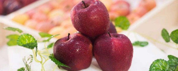 蛇果烂了一点还能吃吗