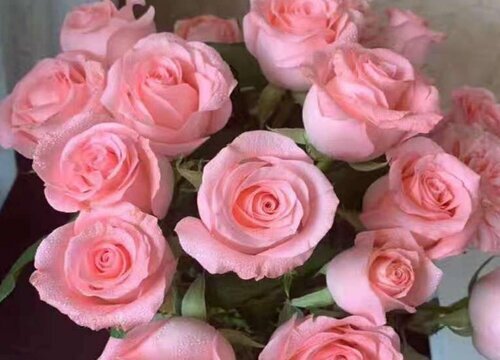 插鲜花用纯净水还是自来水好