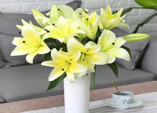 插鲜花用纯净水还是自来水好