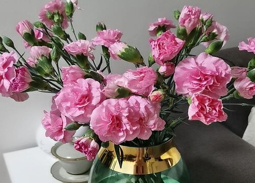 插鲜花用纯净水还是自来水好