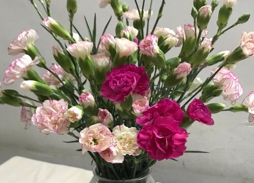 插鲜花用纯净水还是自来水好