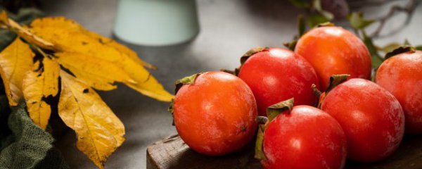 吃小柿子能喝酸奶吗