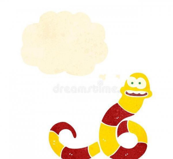 最容易记仇的4大生肖