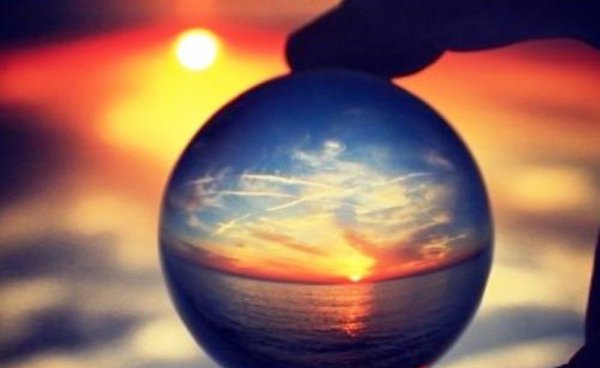 知性是指什么意思