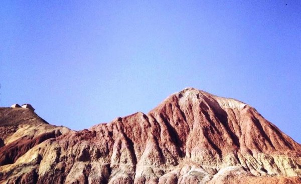 知性是指什么意思