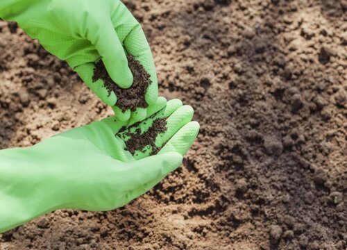 如何给种花的土壤杀菌消毒