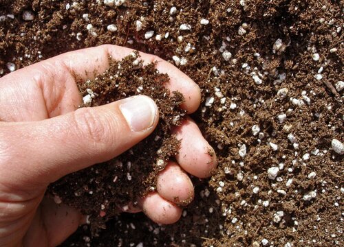 如何给种花的土壤杀菌消毒