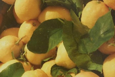 挽回巨蟹座女生的狠招 伤了巨蟹女的心如何挽回攻略