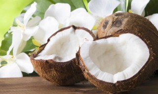 减肥可以喝椰汁吗 减肥能不能喝椰汁呢