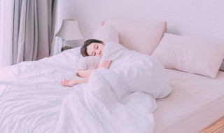 梦见一窝猪是什么意思  做梦梦见一窝猪是代表什么